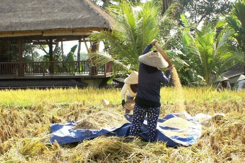 Fotos del hotel Prashanti Ubud:  17