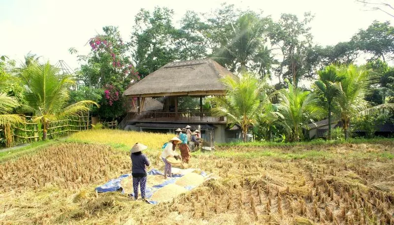 Fotos del hotel Prashanti Ubud:  16