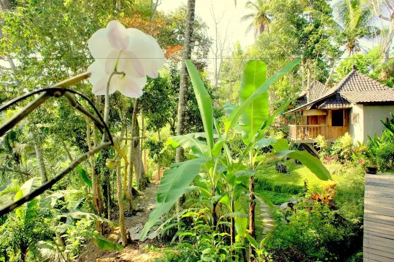 Fotos del hotel Prashanti Ubud:  13