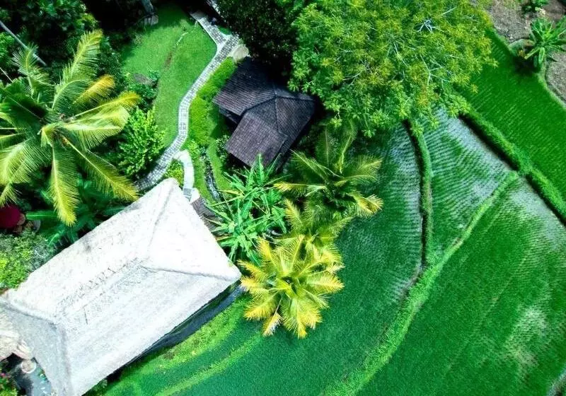 Fotos del hotel Prashanti Ubud:  4
