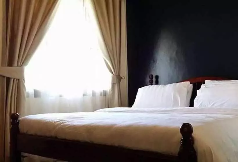 Fotos del hotel Jolly Court:  3