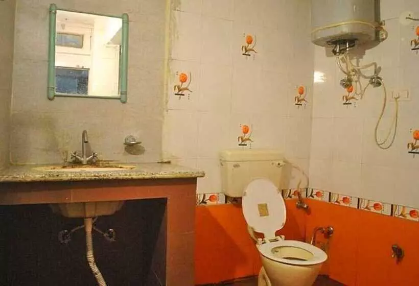Fotos del hotel The Krishna:  2