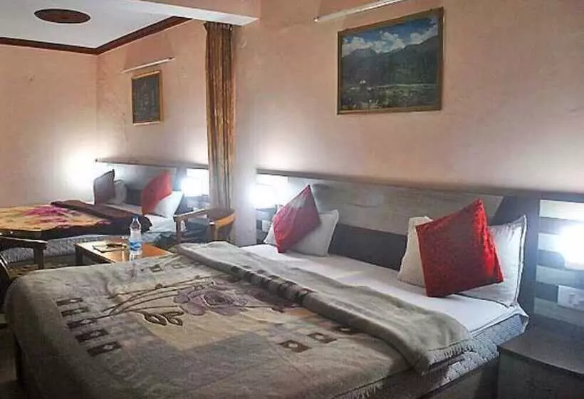 Fotos del hotel The Krishna:  3