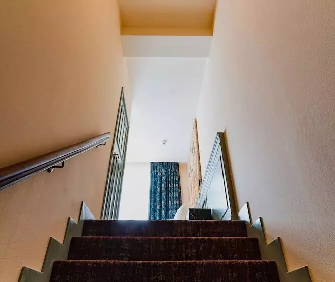 Fotos del hotel Mercier:  10