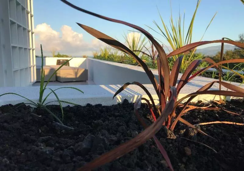 Fotos del hotel Vinhas Do Calhau:  21