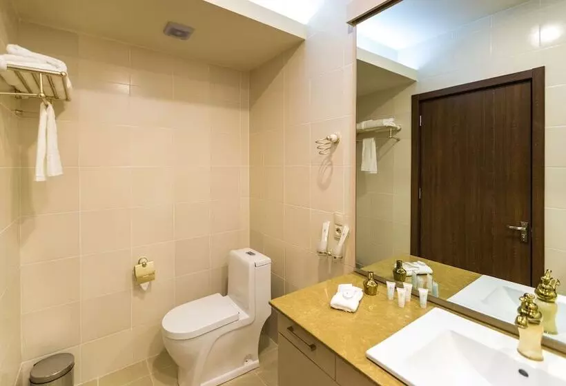 Fotos del hotel Pirimze Plaza:  18