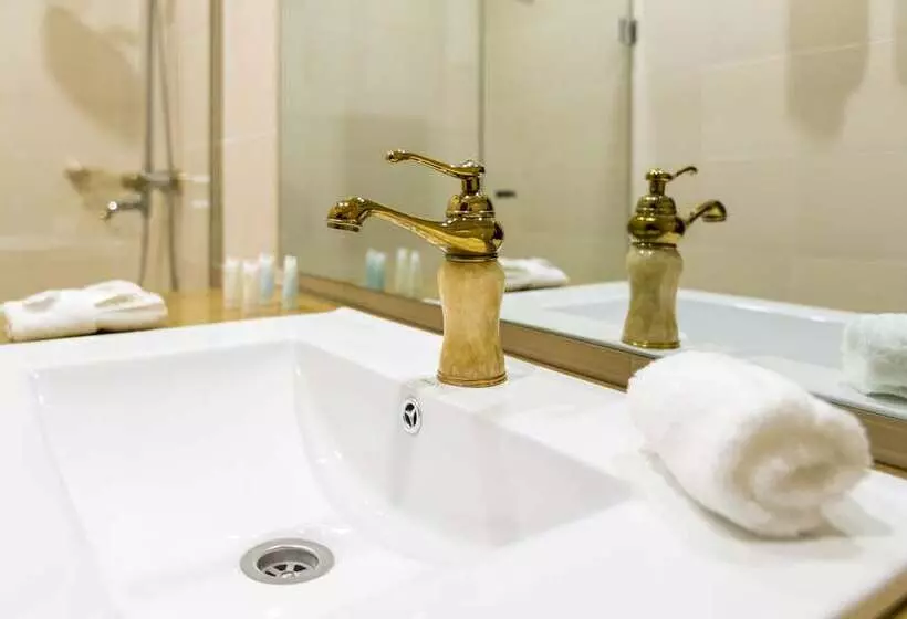 Fotos del hotel Pirimze Plaza:  15