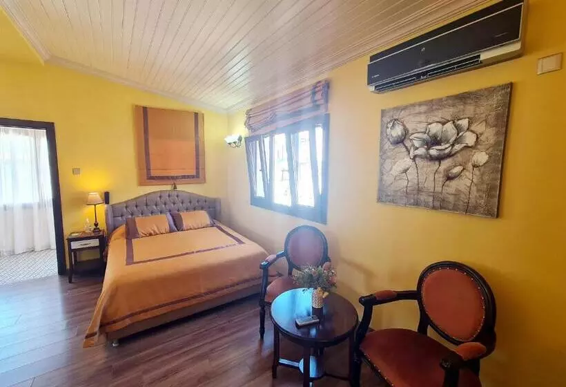 Fotos del hotel Sofia Boutique:  6