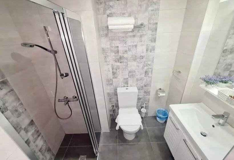 Fotos del hotel Sofia Boutique:  11