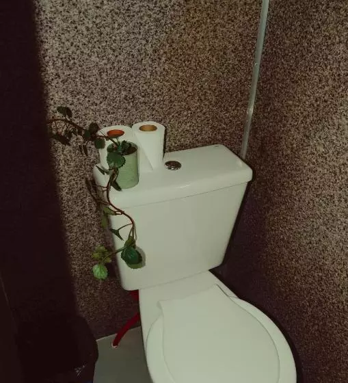 Fotos del hotel Selina Bariloche:  11