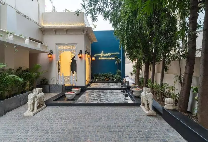Fotos del hotel Dream Palace:  16