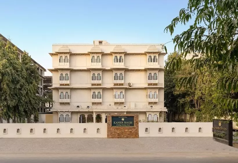 Fotos del hotel Dream Palace:  4