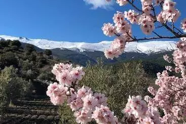 Boutique Molino De Enmedio - Hueneja