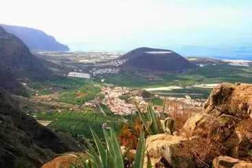 Buenavistera - Buenavista del Norte