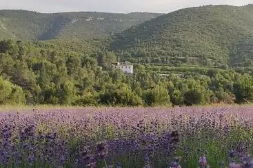Eco Maset, Alojamiento Rural Rodeado De Naturaleza - Aielo de Malferit