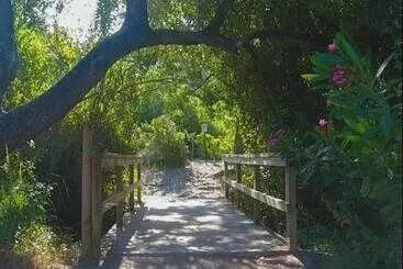 La Buhardilla De Torrecillas - El Bosque