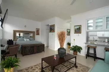 Choose To Be Happy At Ei8ht!   Super Studios And Penthouse Apartment - Kingston