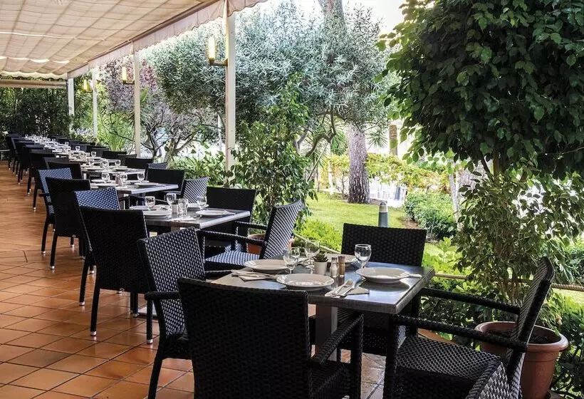 Fotos del hotel Club Cala Ratjada:  25