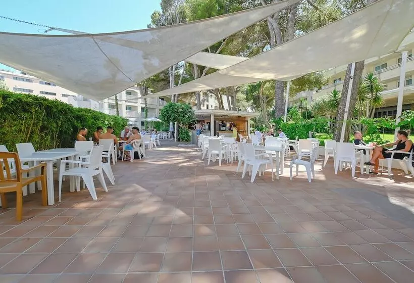 Fotos del hotel Club Cala Ratjada:  6