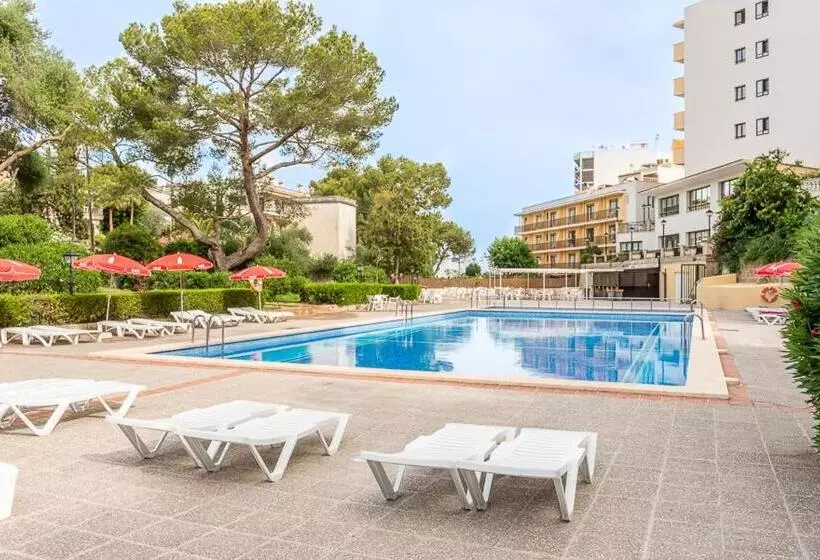 Fotos del hotel Amazonas:  11