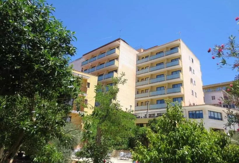 Fotos del hotel Amazonas:  2