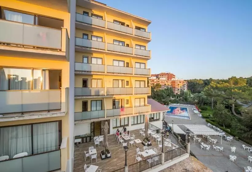 Fotos del hotel Amazonas:  15