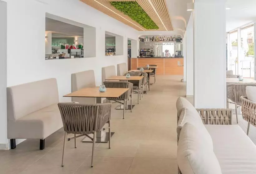 Fotos del hotel Amic Gala:  16