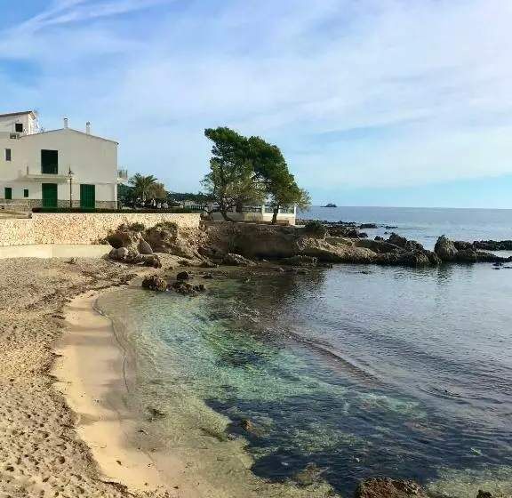 Fotos del hotel Hotel Amoros:  17