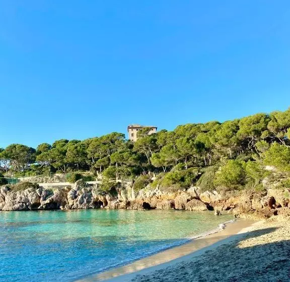 Fotos del hotel Hotel Amoros:  10