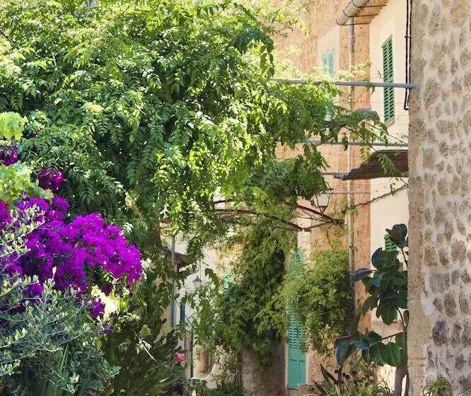 Fotos del hotel Es Moli:  5