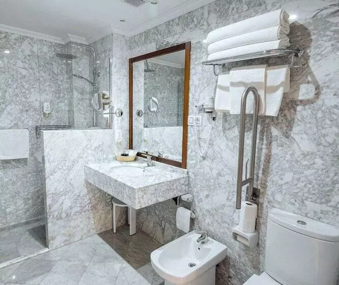 Fotos del hotel Gran Hotel Del Sella:  13