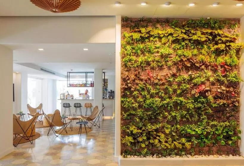 Fotos del hotel Hm Alma Beach:  49