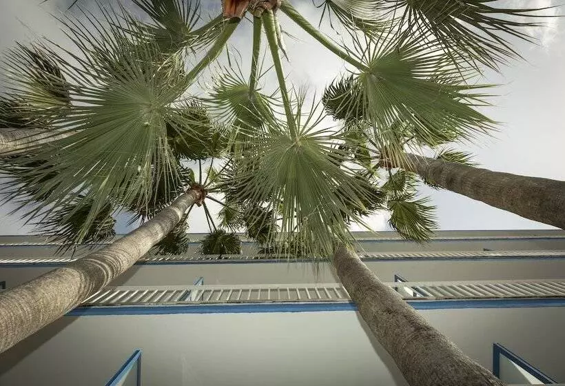 Fotos del hotel Ilusion Vista Blava:  12