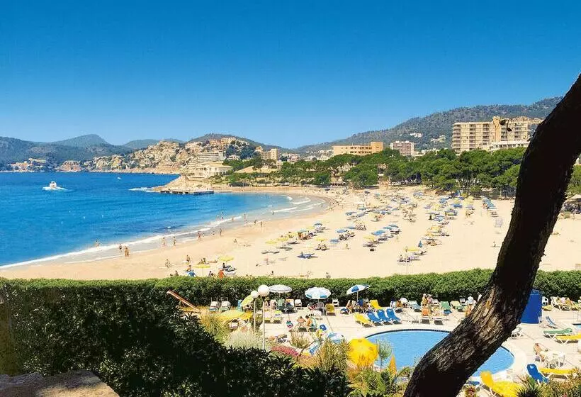 Fotos del hotel Allsun Paguera Park:  2