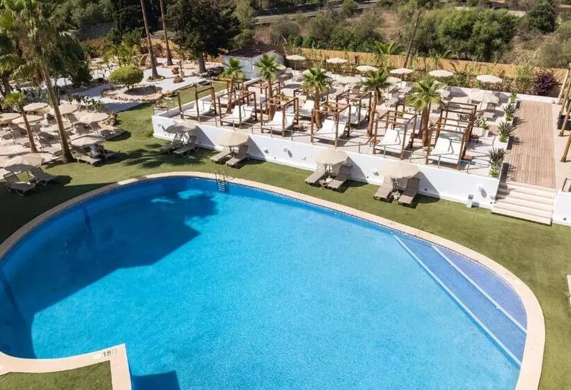 Fotos del hotel Viwo Eda:  9