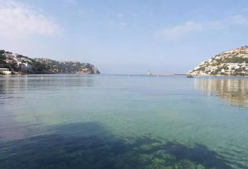 Fotos del hotel Brismar:  14