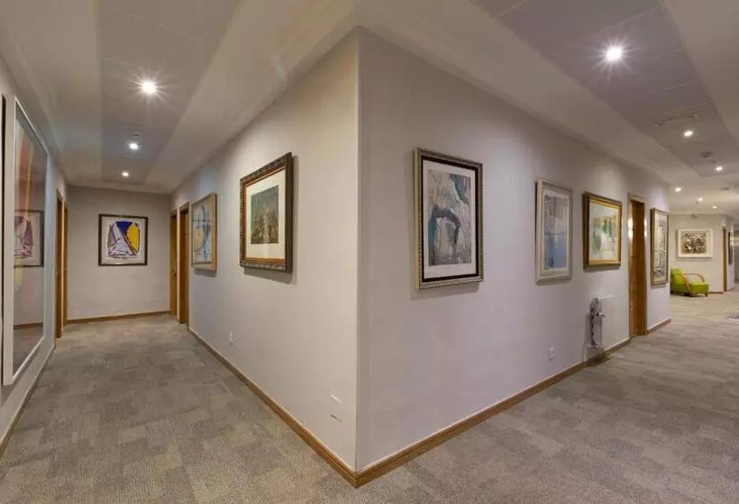 Fotos del hotel Sercotel Corona De Castilla:  3