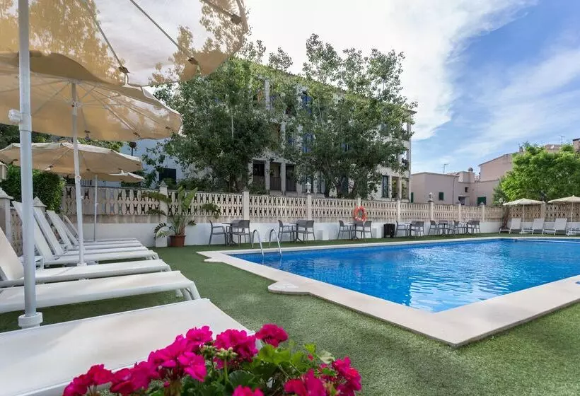 Fotos del hotel FERGUS Style Soller Beach:  5