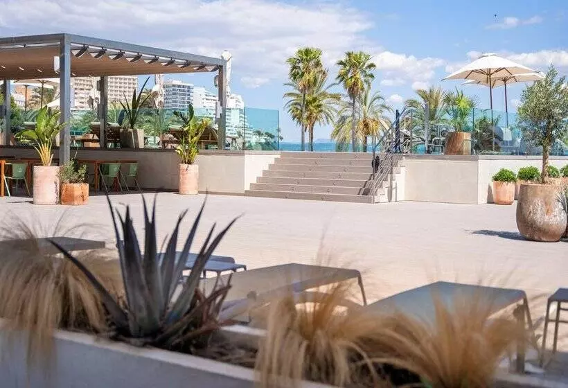 Fotos del hotel Sol Wave House All Suites:  24