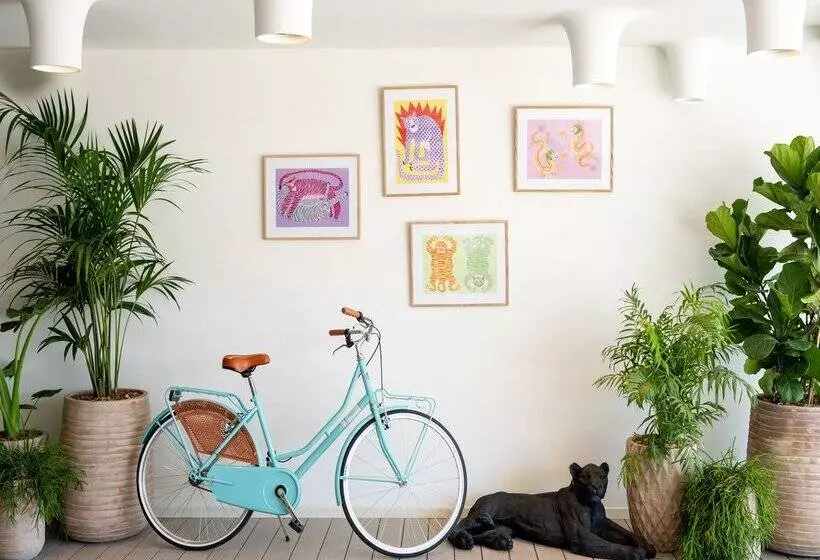 Fotos del hotel Sol Wave House All Suites:  42