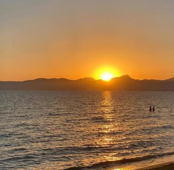 Fotos del hotel Marina Playa De Palma:  8