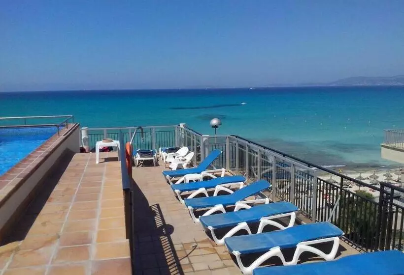 Fotos del hotel Marina Playa De Palma:  6