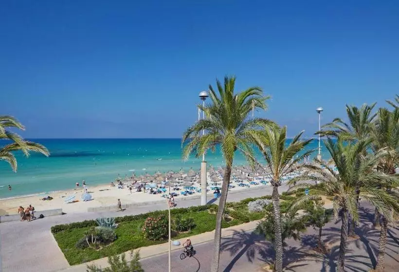 Fotos del hotel Myseahouse Flamingo - Adults Only 4* Sup:  16