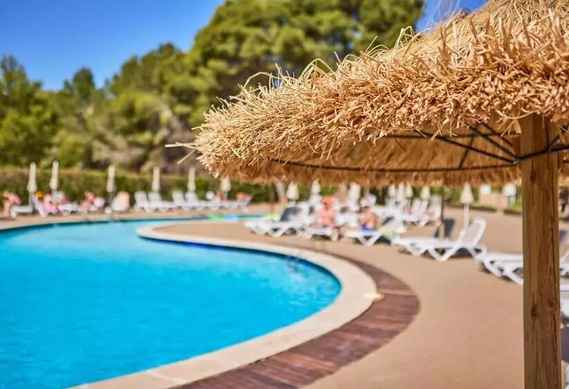 Fotos del hotel tent Palmanova:  37