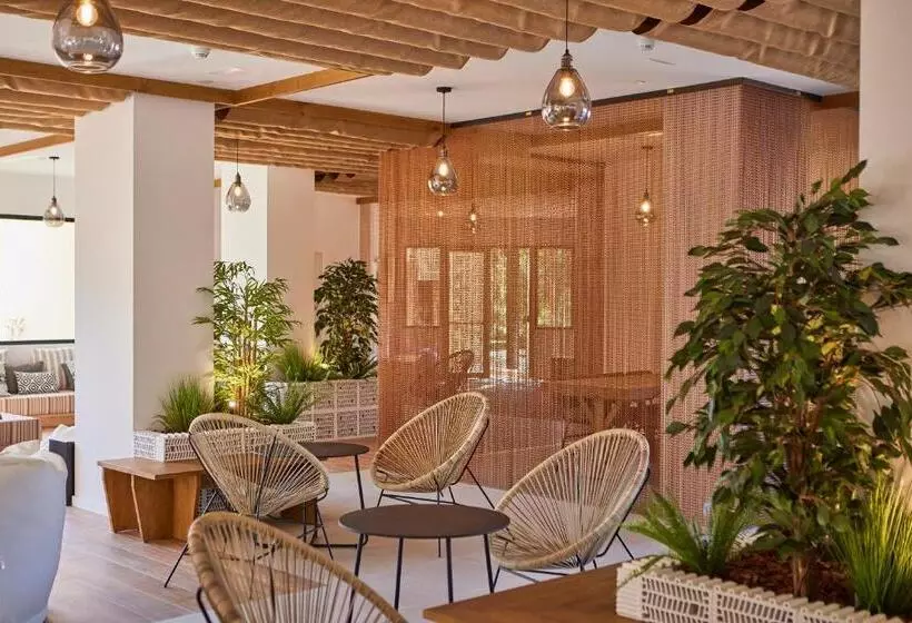 Fotos del hotel tent Palmanova:  44