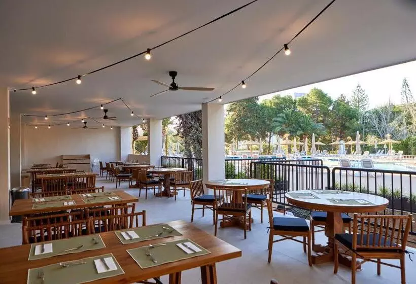 Fotos del hotel tent Palmanova:  62