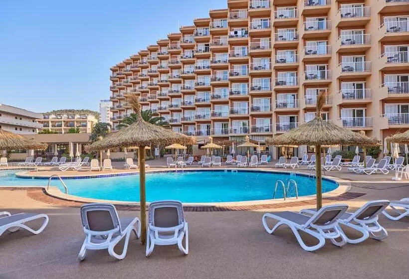 Fotos del hotel tent Palmanova:  56