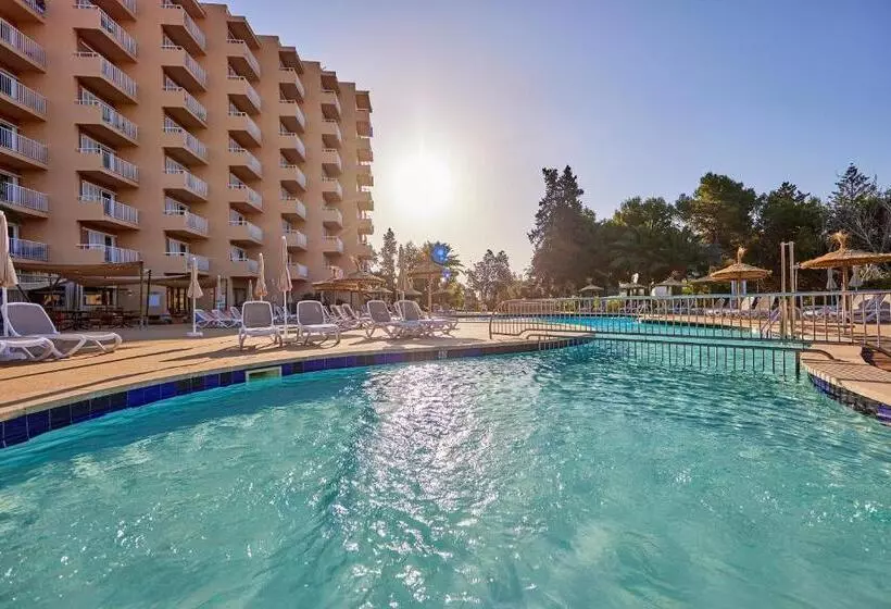 Fotos del hotel tent Palmanova:  79