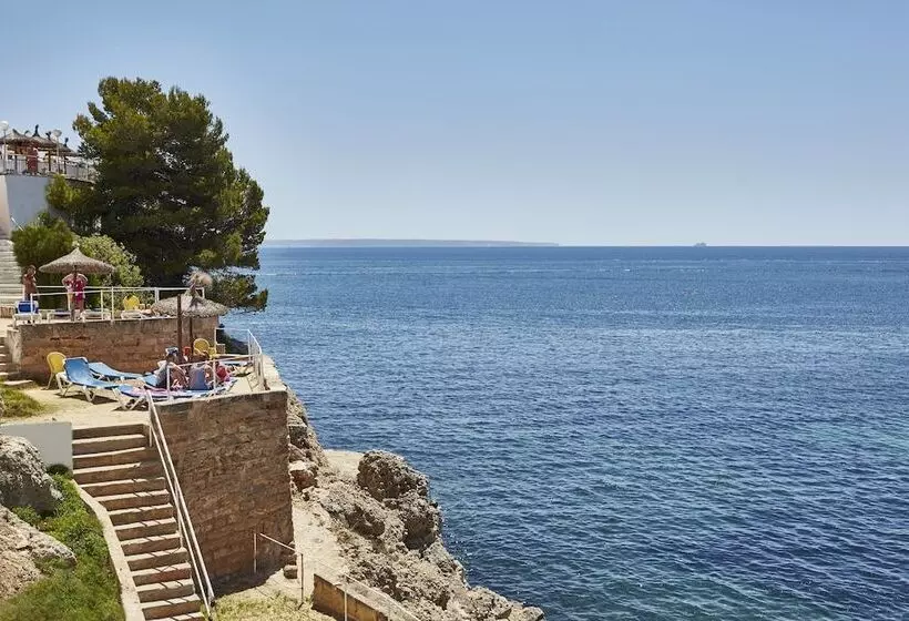 Fotos del hotel Florida Magaluf - Adults Only:  13