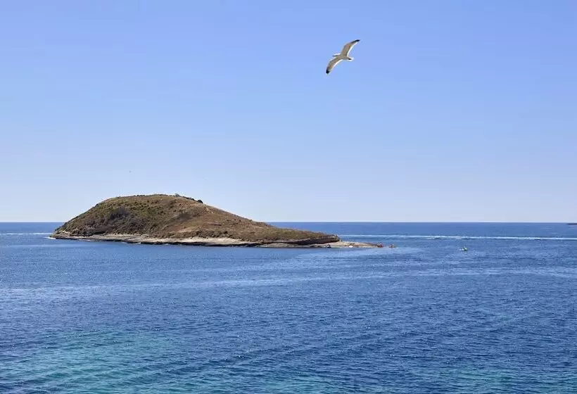 Fotos del hotel Florida Magaluf - Adults Only:  5